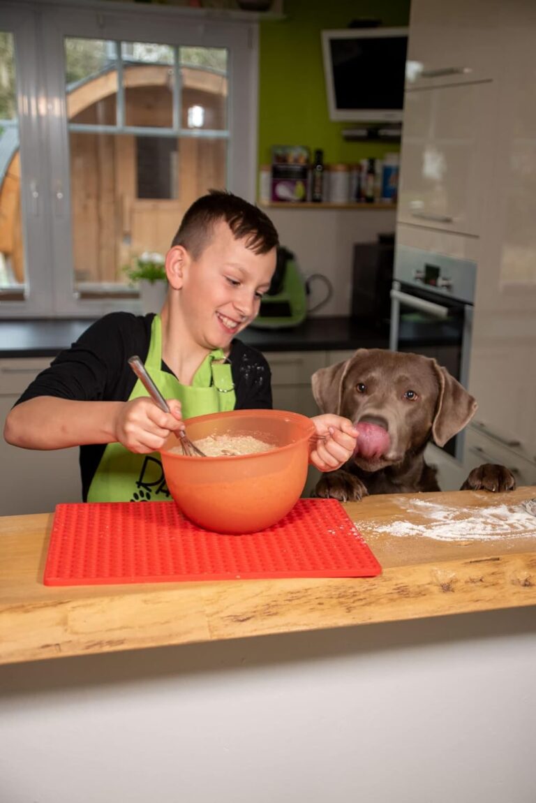 Rakalo Backmischungsvergleich: Haustierleckerbissen im Test